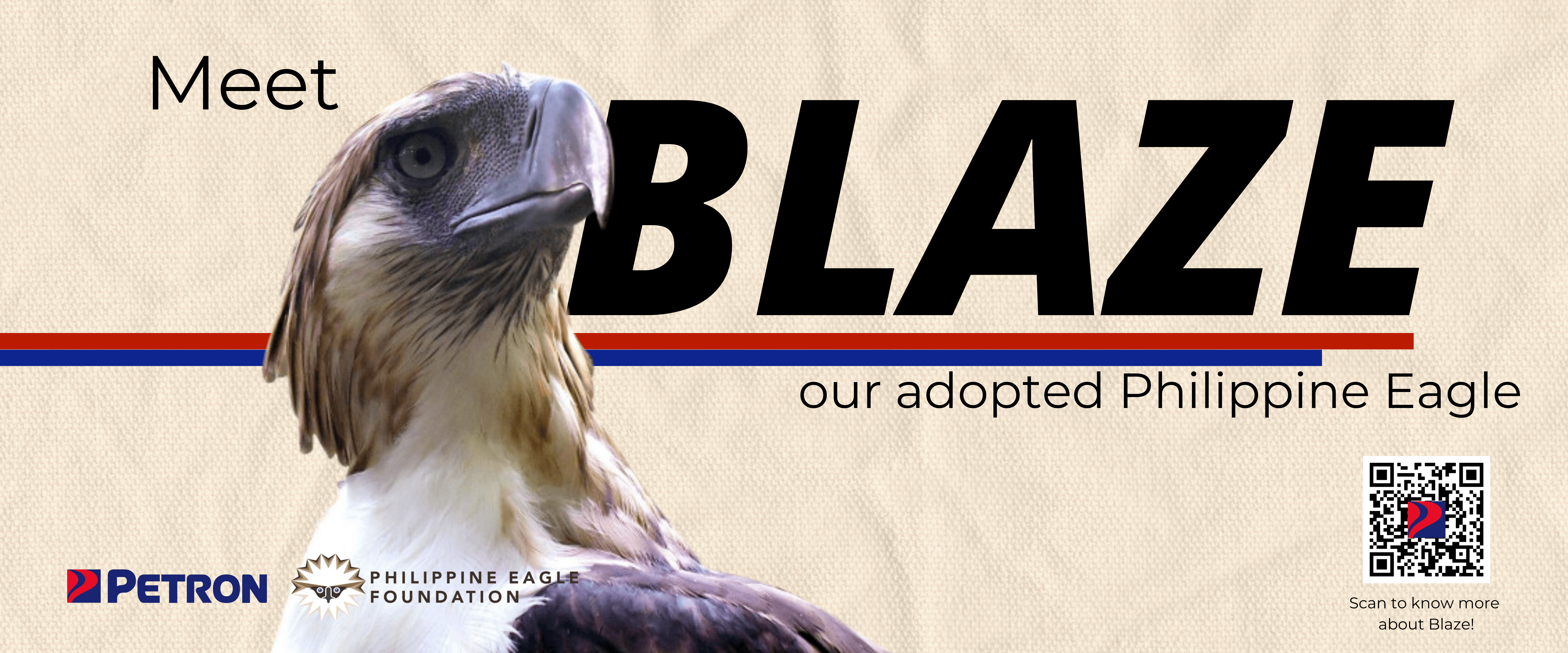 Petron adopts Blaze the Philippine Eagle in celebration of Earth Day Petron adopts Blaze the Philippine Eagle in celebration of Earth Day