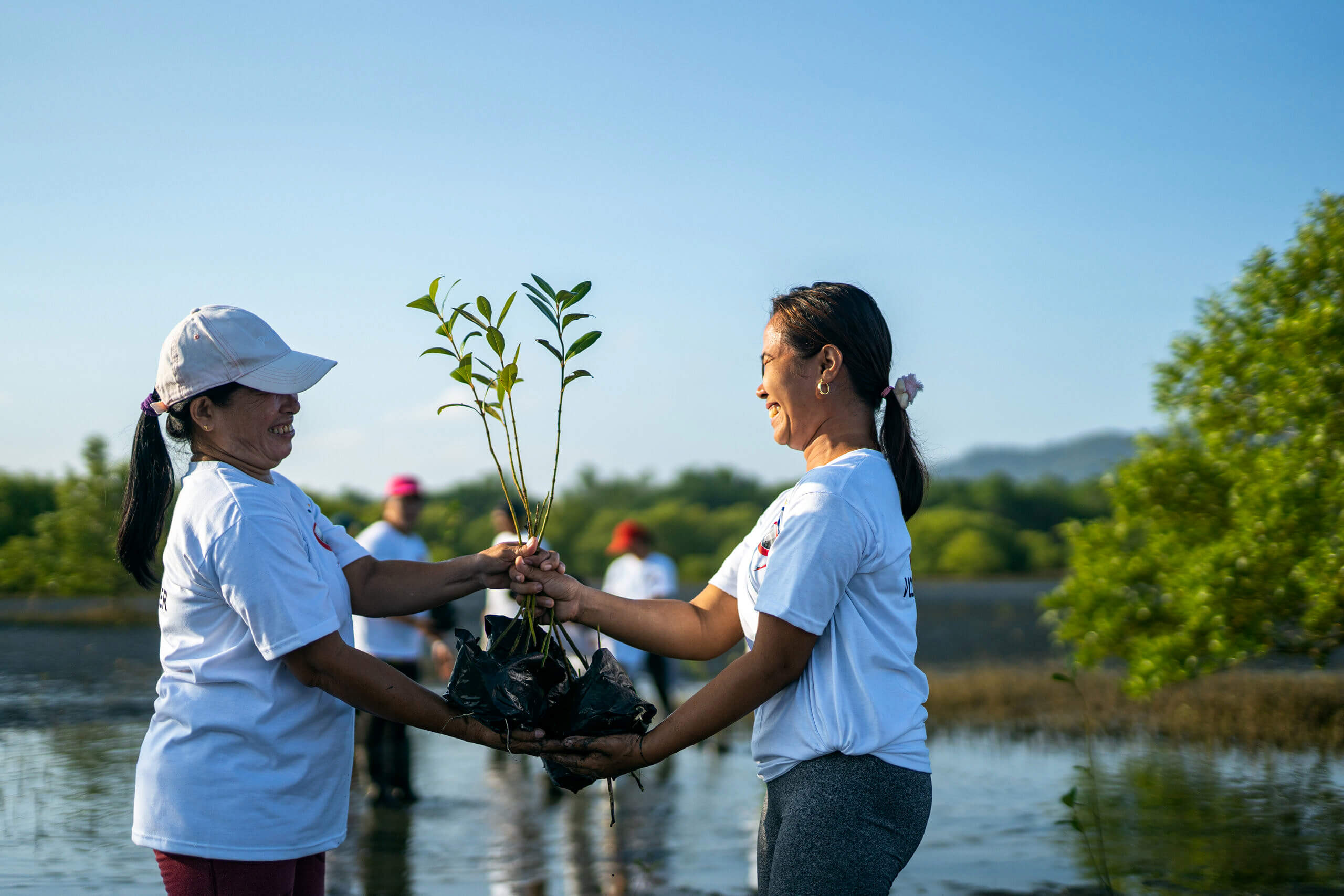 Environmental Stewardship Environmental Stewardship